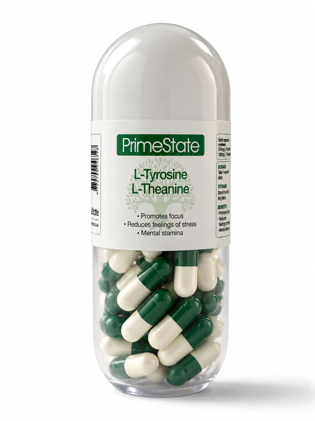 L-Tyrosine + L-Theanine